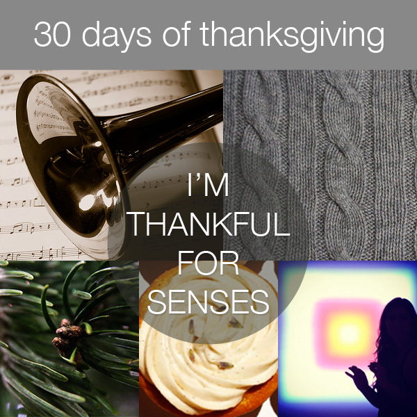 30 Days of Thanksgiving: Senses via Bits of Beauty
